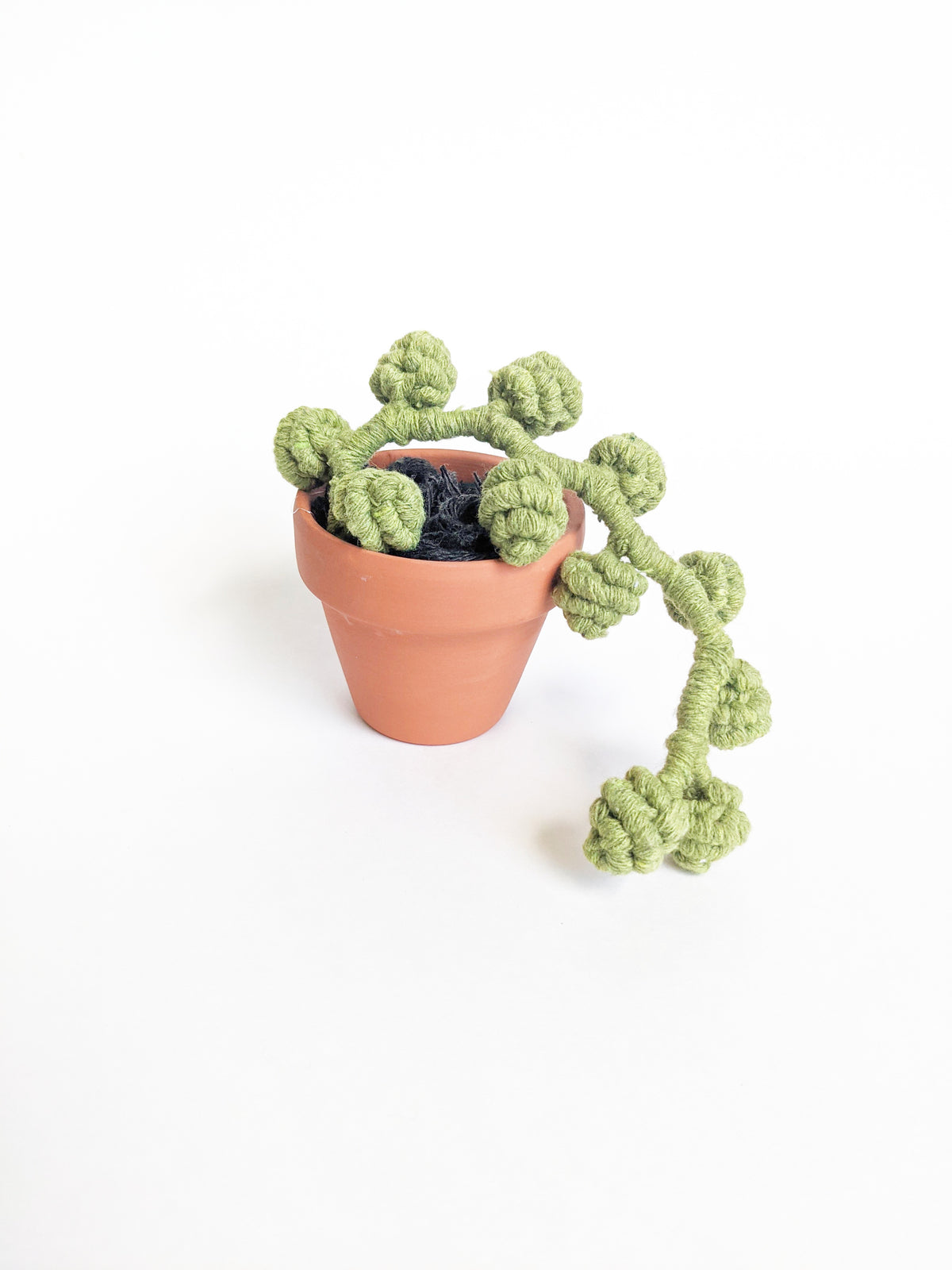 Macrame Succulent String of Pearls in Pot Sculpture String Theories Fiber Design