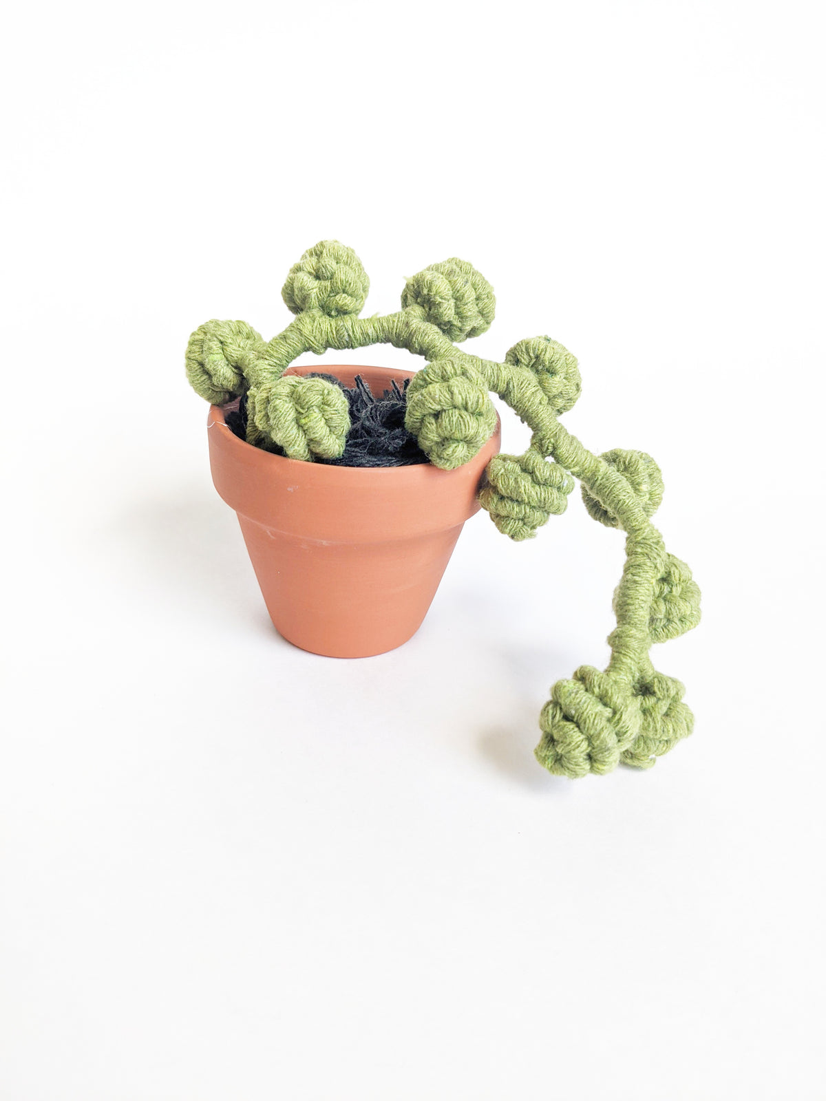 Macrame Succulent String of Pearls in Pot Sculpture String Theories Fiber Design