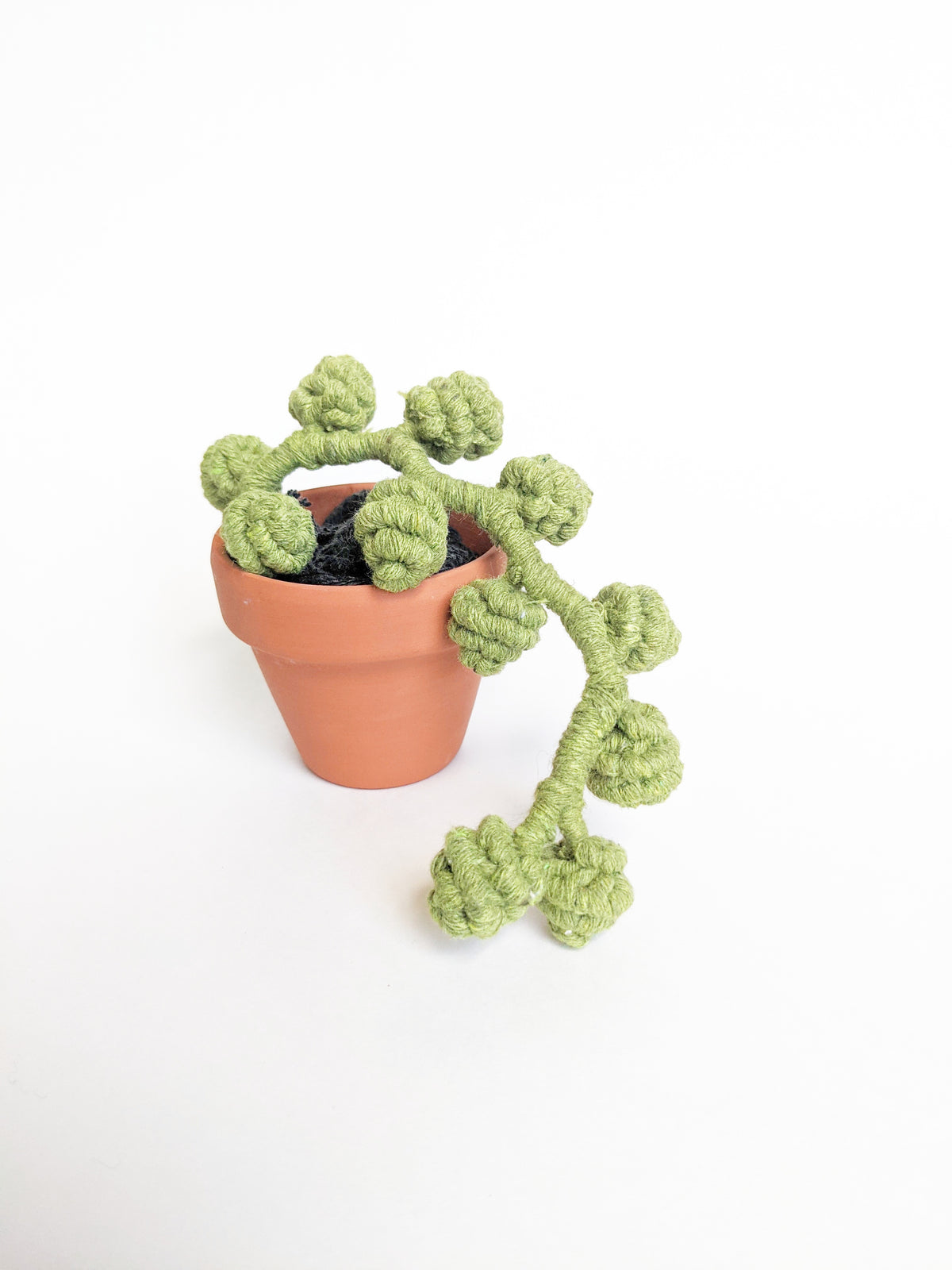 Macrame Succulent String of Pearls in Pot Sculpture String Theories Fiber Design