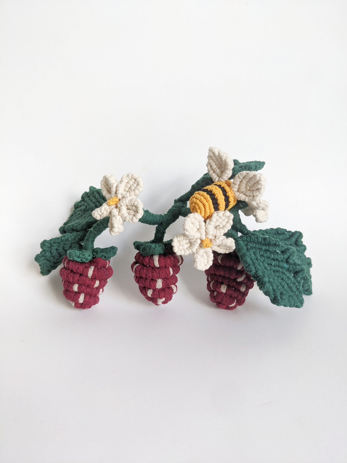 Macrame Strawberry Vine Sculpture String Theories Fiber Design