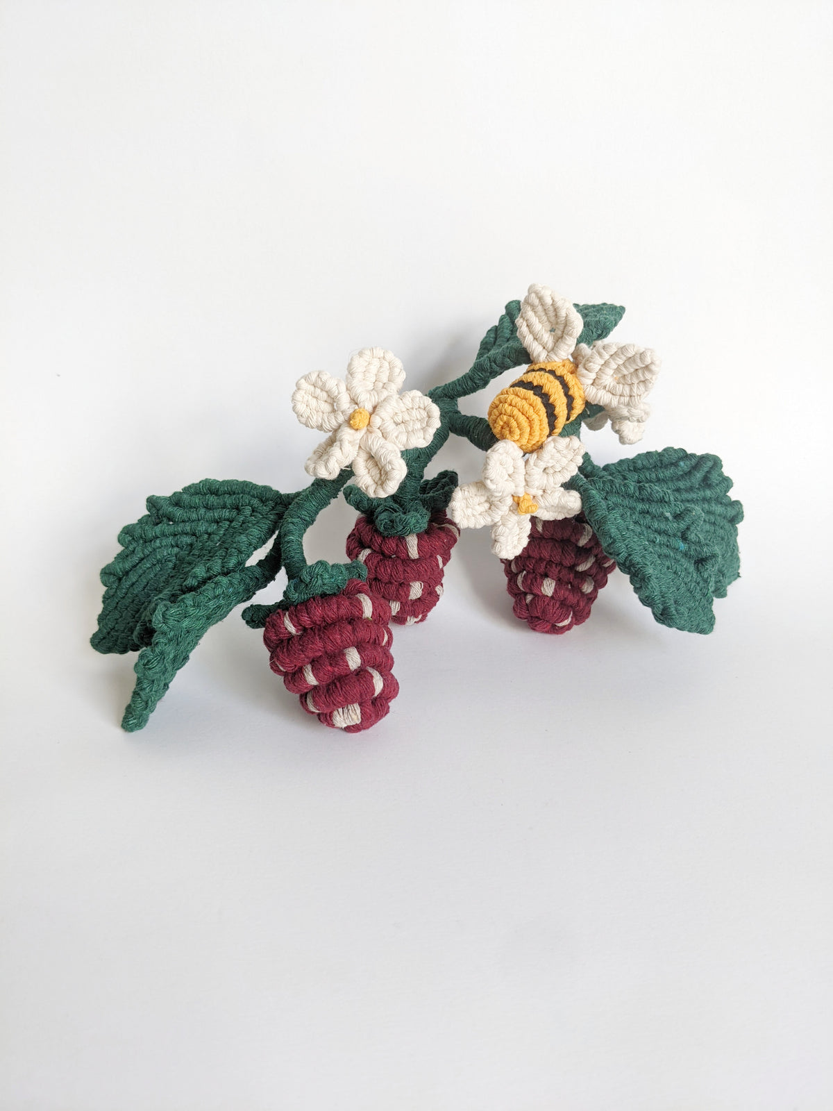 Macrame Strawberry Vine Sculpture String Theories Fiber Design