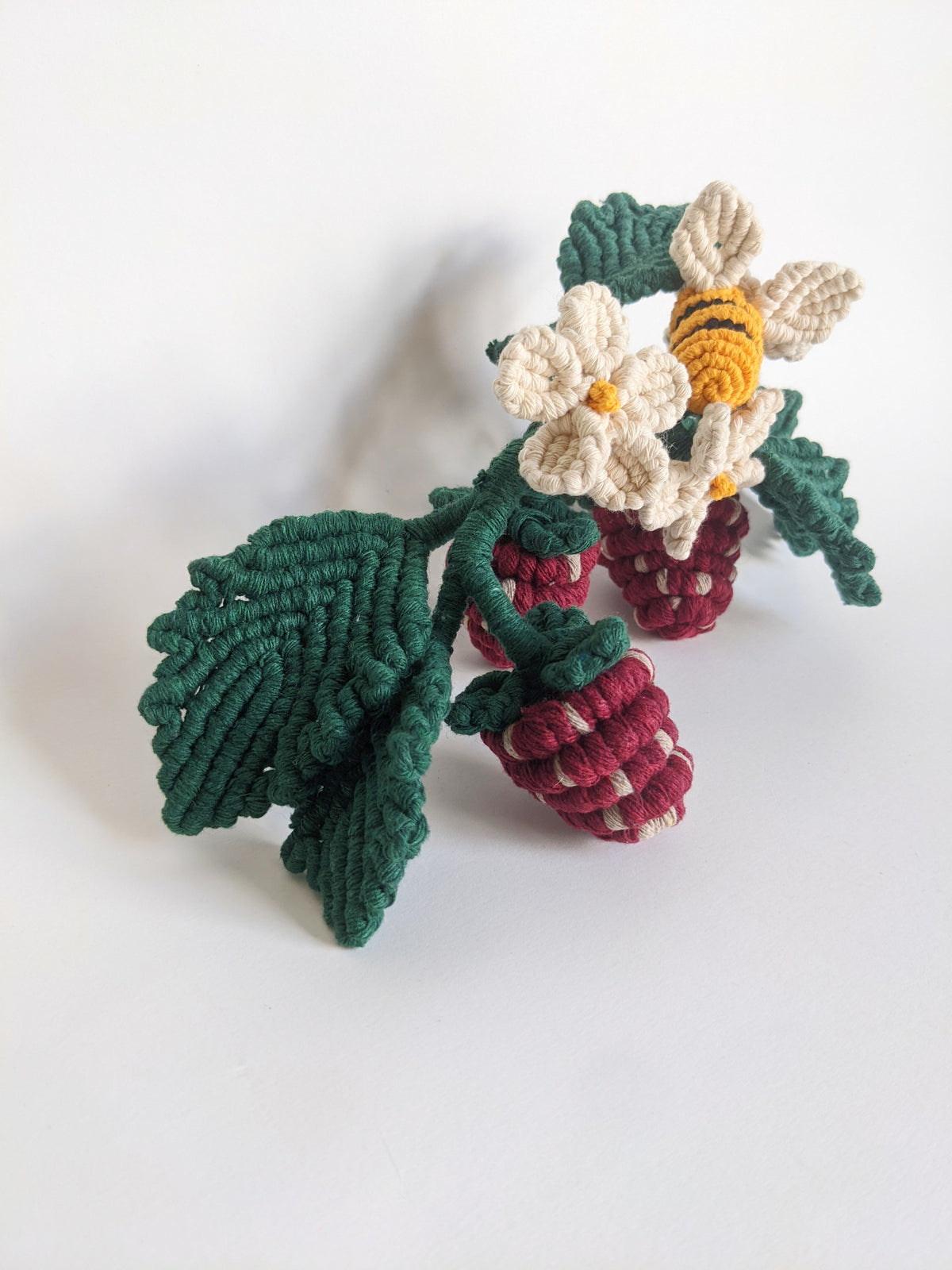 Macrame Strawberry Vine Sculpture String Theories Fiber Design