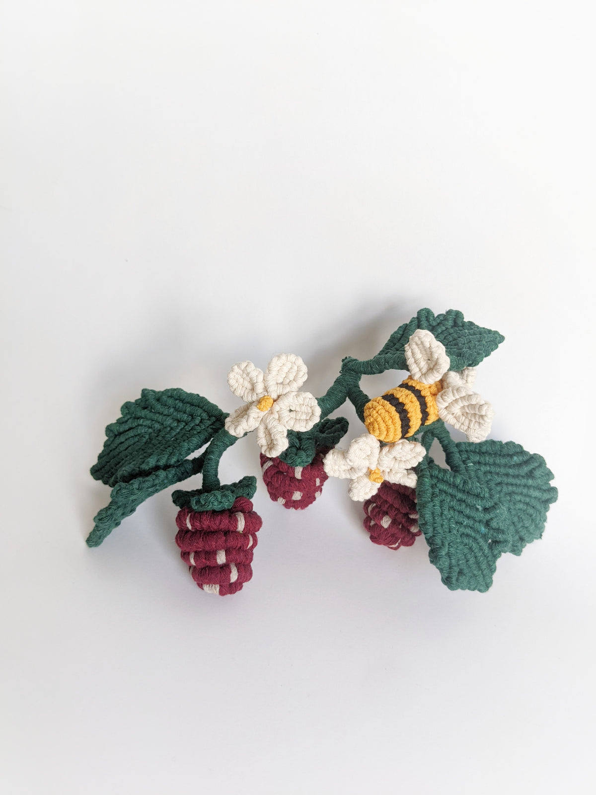 Macrame Strawberry Vine Sculpture String Theories Fiber Design