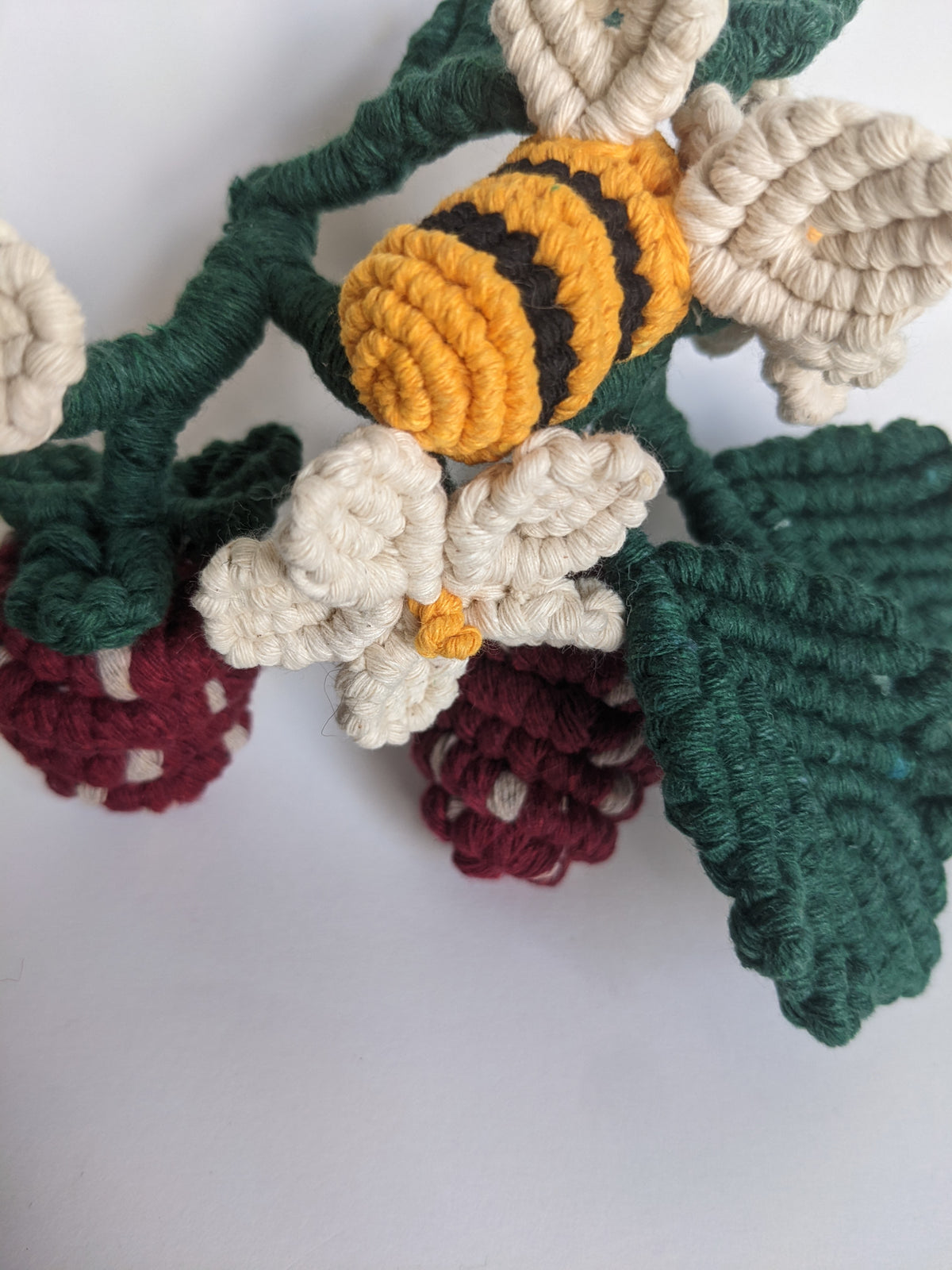Macrame Strawberry Vine Sculpture String Theories Fiber Design