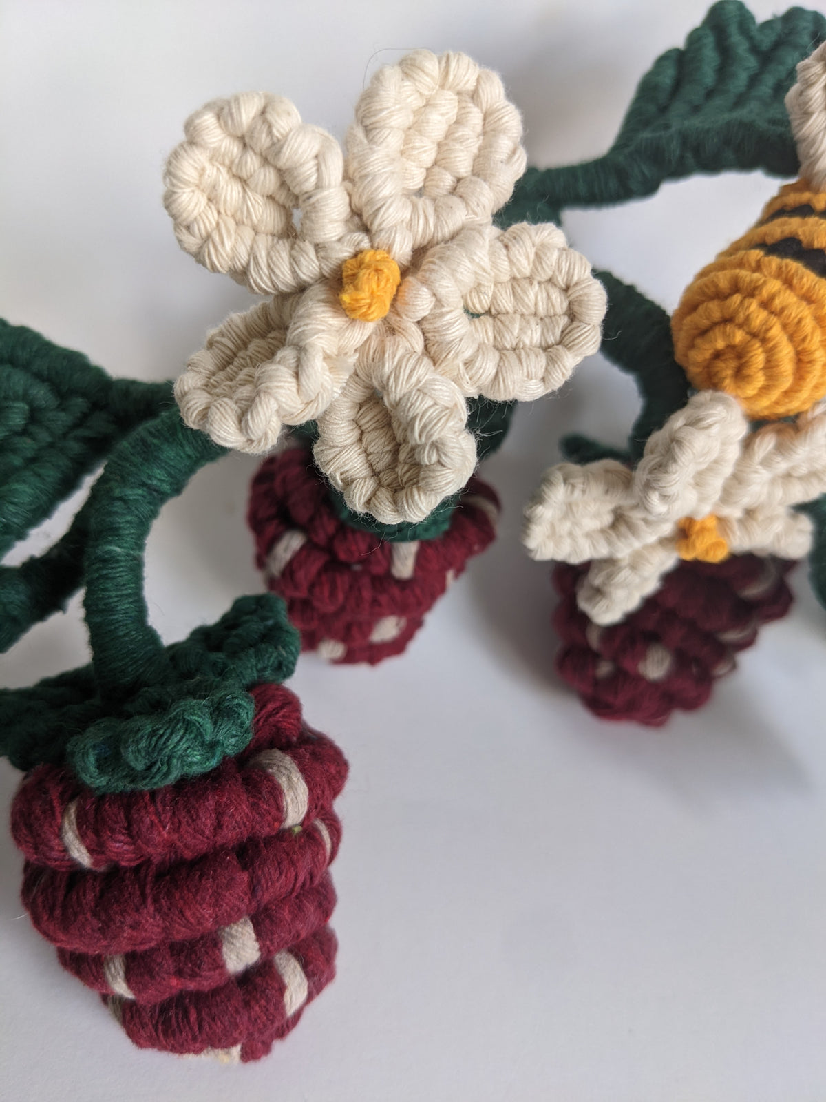 Macrame Strawberry Vine Sculpture String Theories Fiber Design