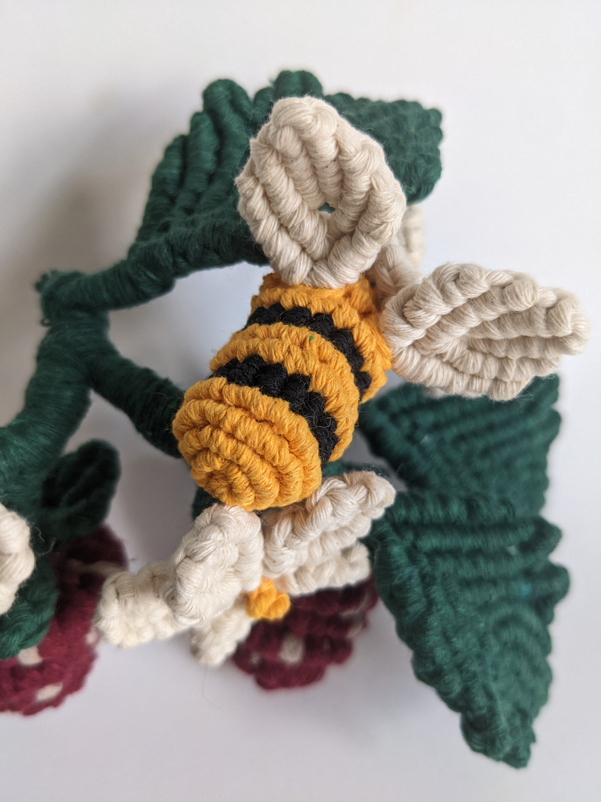 Macrame Strawberry Vine Sculpture String Theories Fiber Design