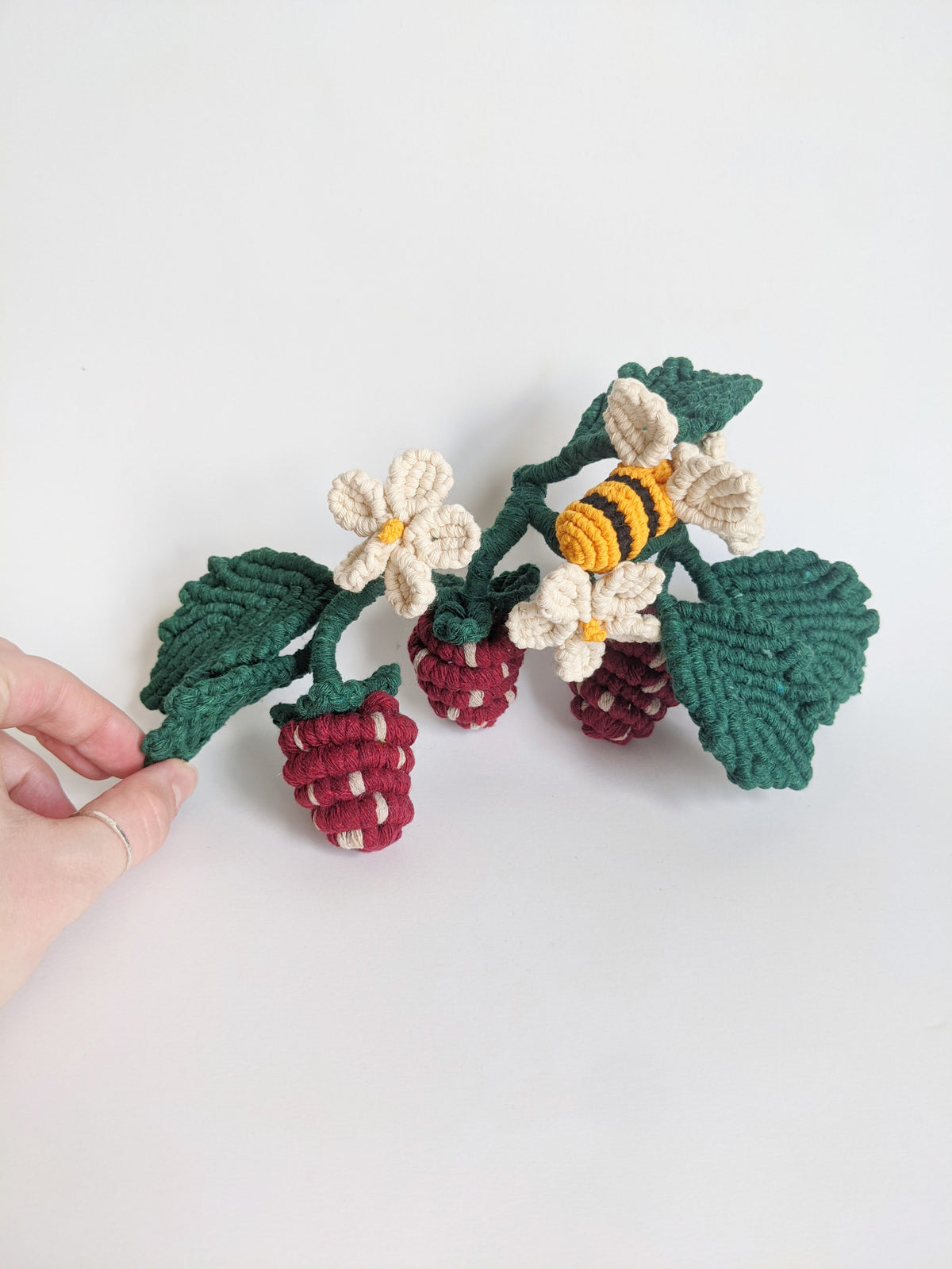 Macrame Strawberry Vine Sculpture String Theories Fiber Design