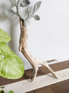 Leafy Stumps