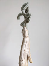 Load image into Gallery viewer, Leafy Stumps
