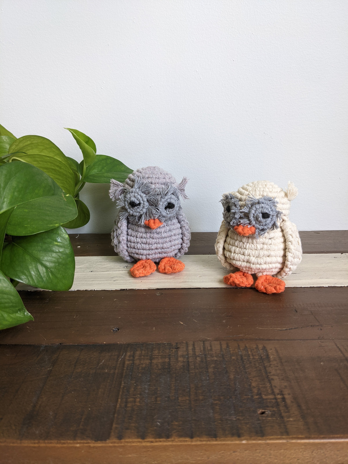 Macrame Owl Pattern (pattern only, not full kit) String Theories Fiber Design
