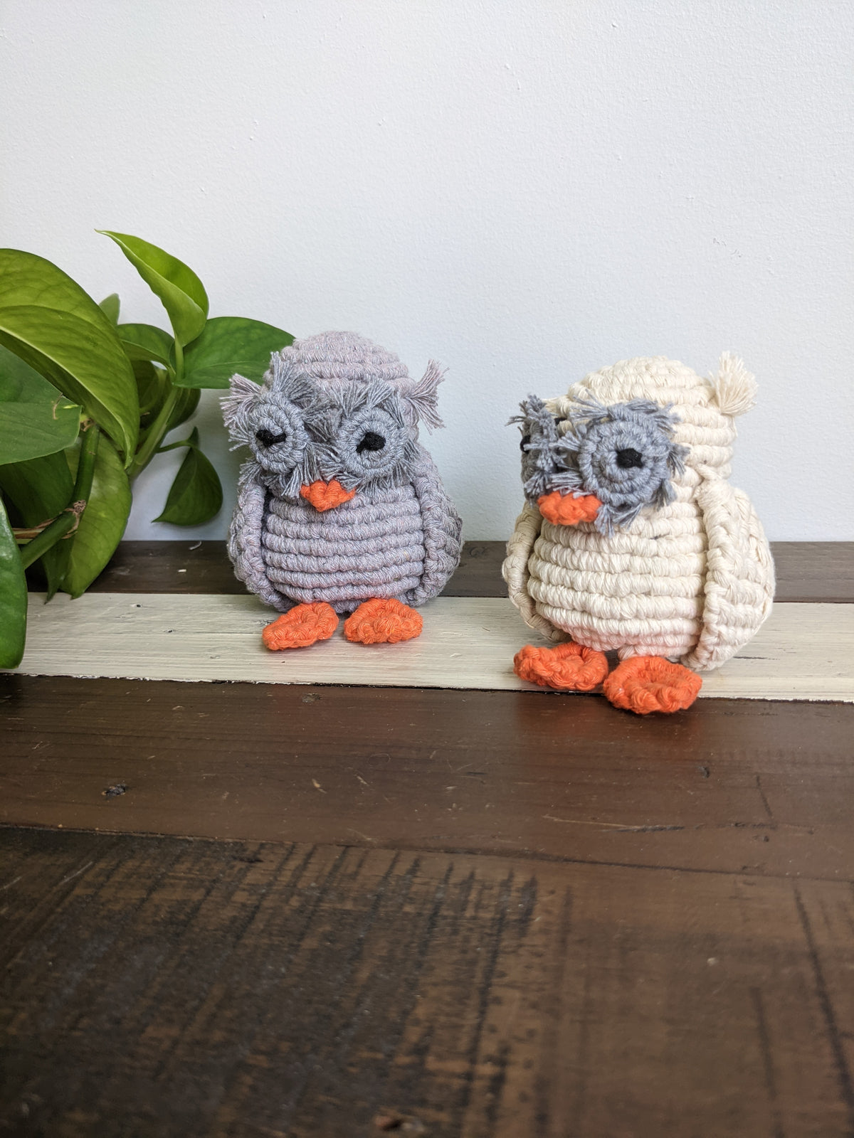 Macrame Owl Pattern (pattern only, not full kit) String Theories Fiber Design