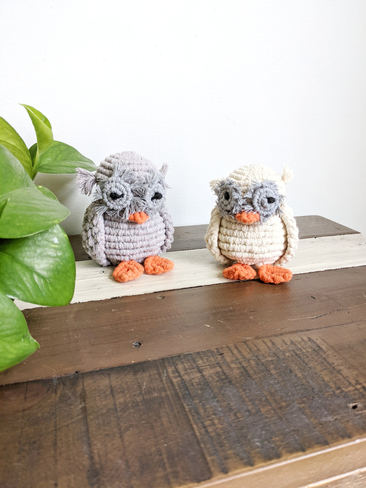 Macrame Owl Pattern (pattern only, not full kit) String Theories Fiber Design