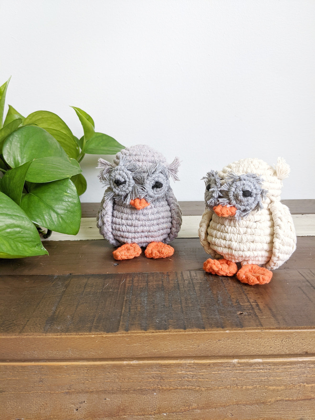 Macrame Owl Pattern (pattern only, not full kit) String Theories Fiber Design