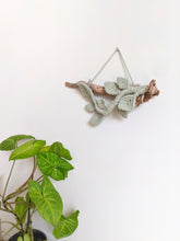 Load image into Gallery viewer, Leafy Stumps
