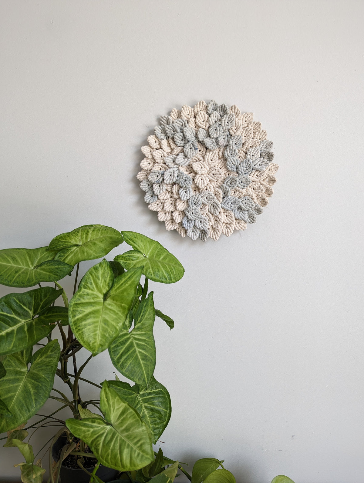 Petal Wave