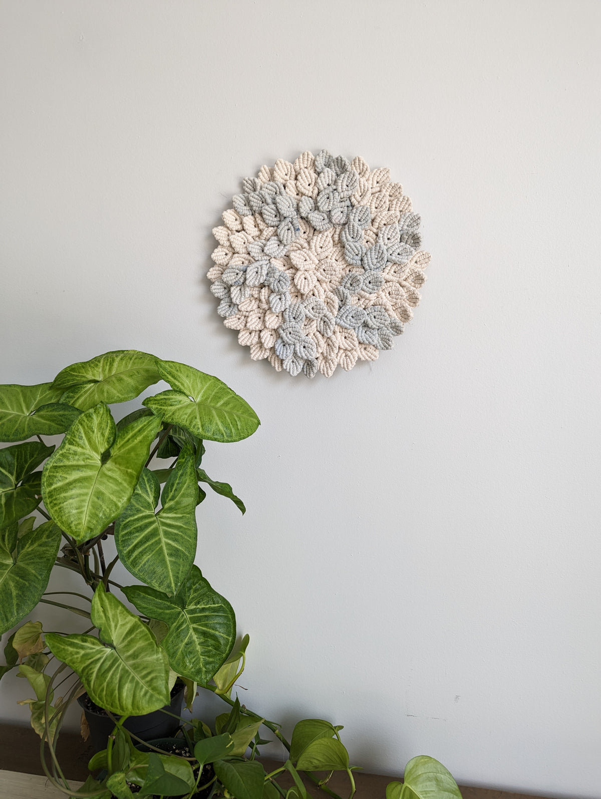 Petal Wave