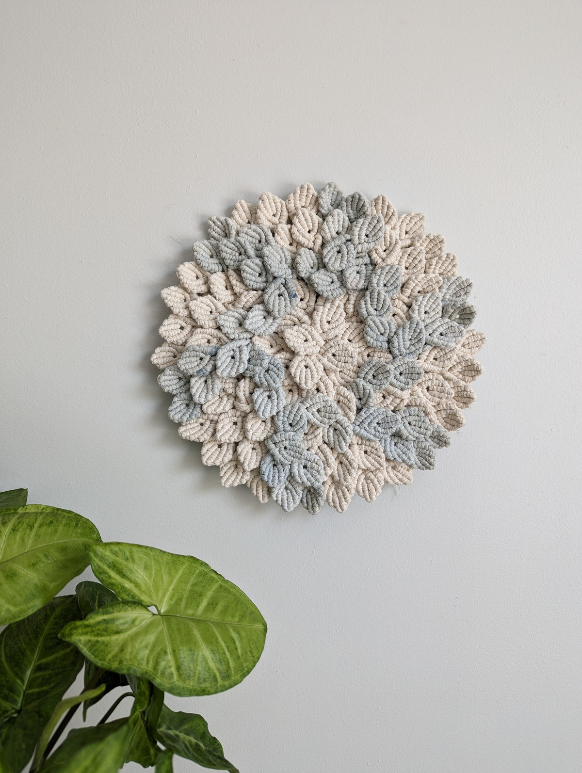 Petal Wave