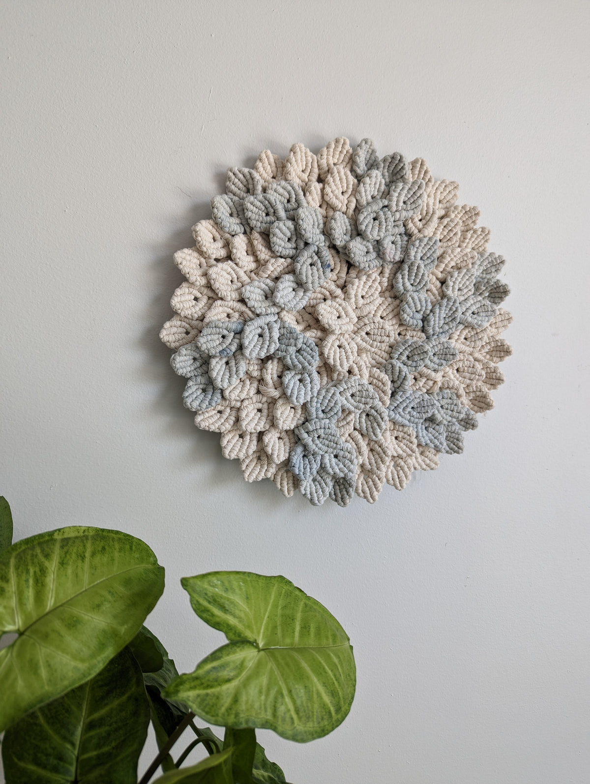 Petal Wave