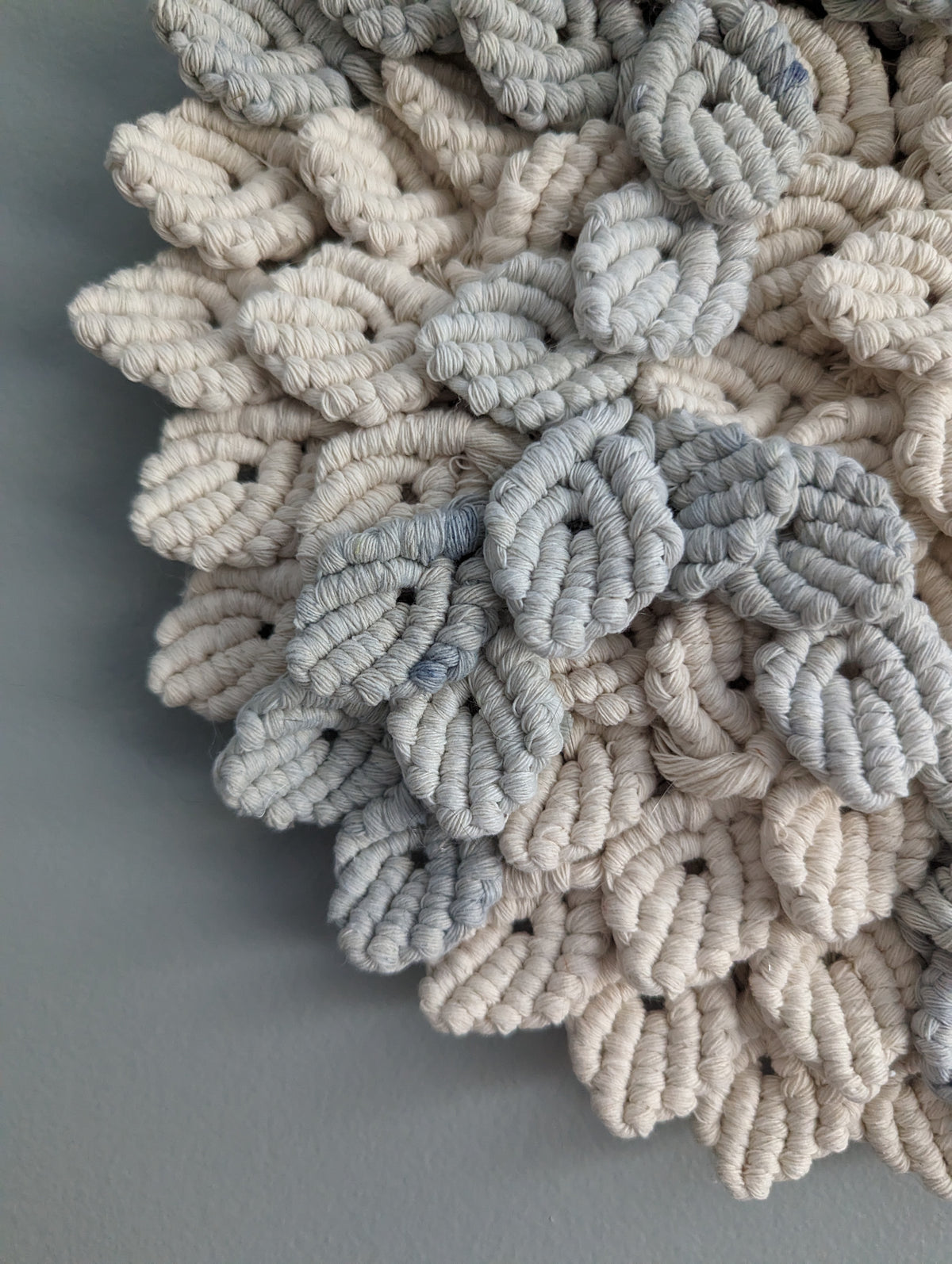 Petal Wave