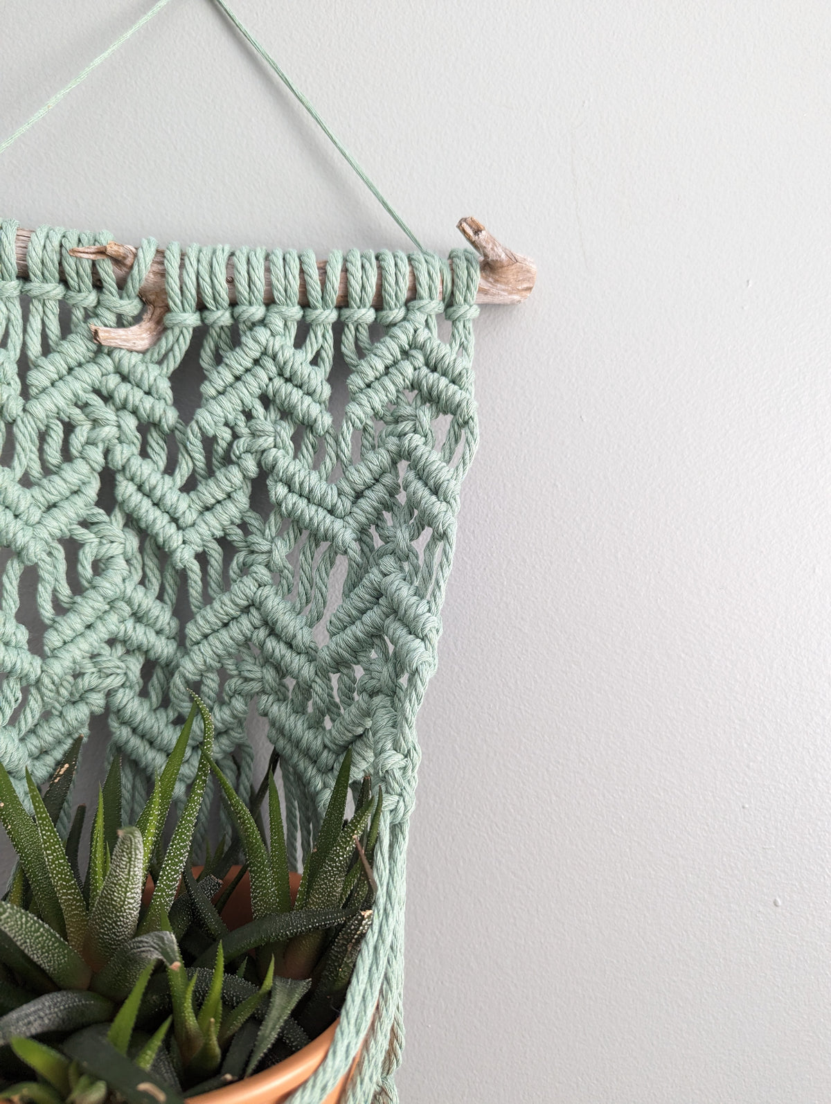 Macrame Wall Plant Hanger Pattern (not a full kit)