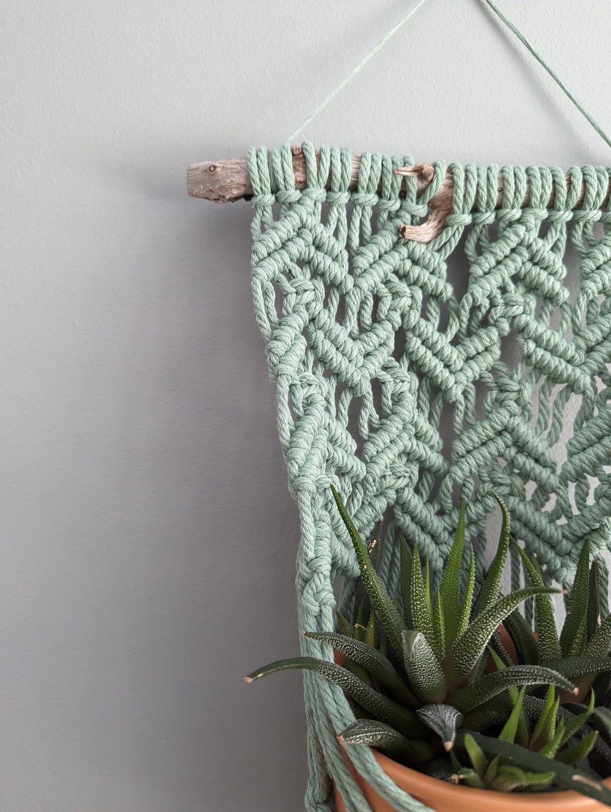 Macrame Wall Plant Hanger Pattern (not a full kit)