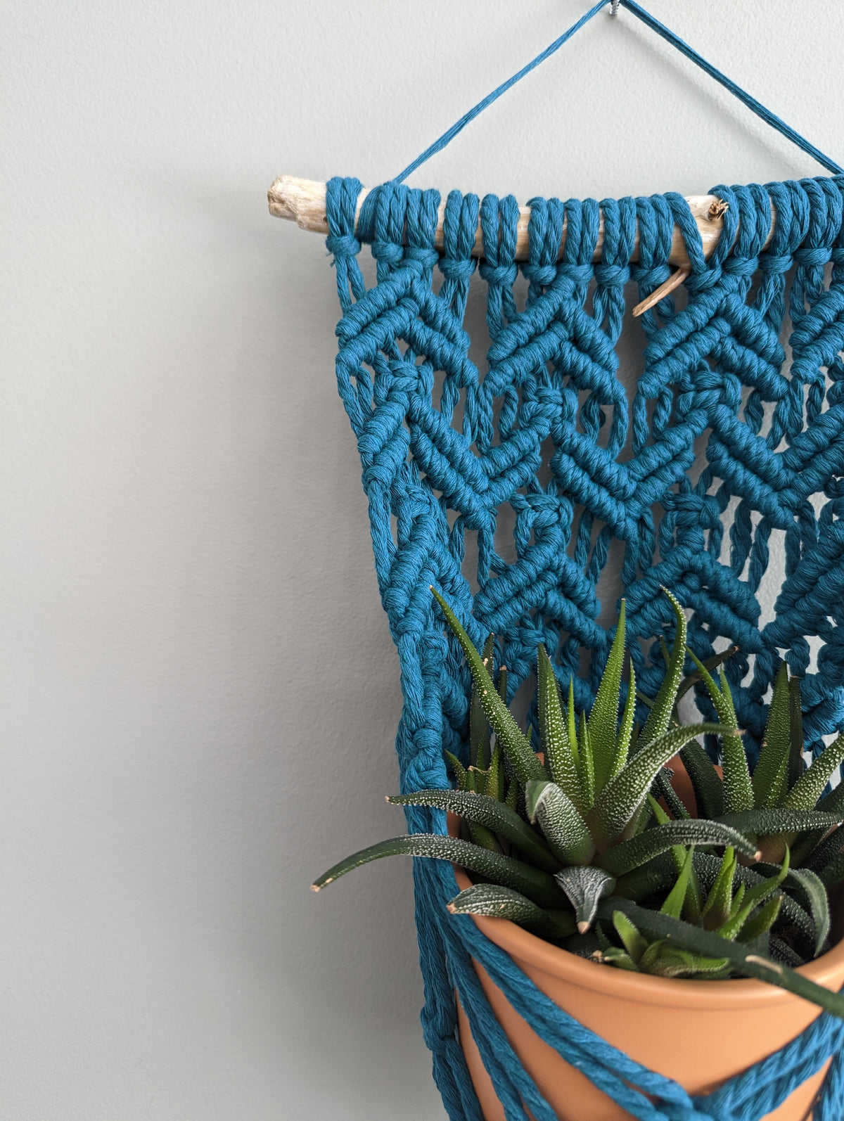 Macrame Wall Plant Hanger Pattern (not a full kit)